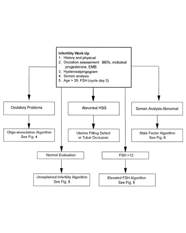 infertility workup