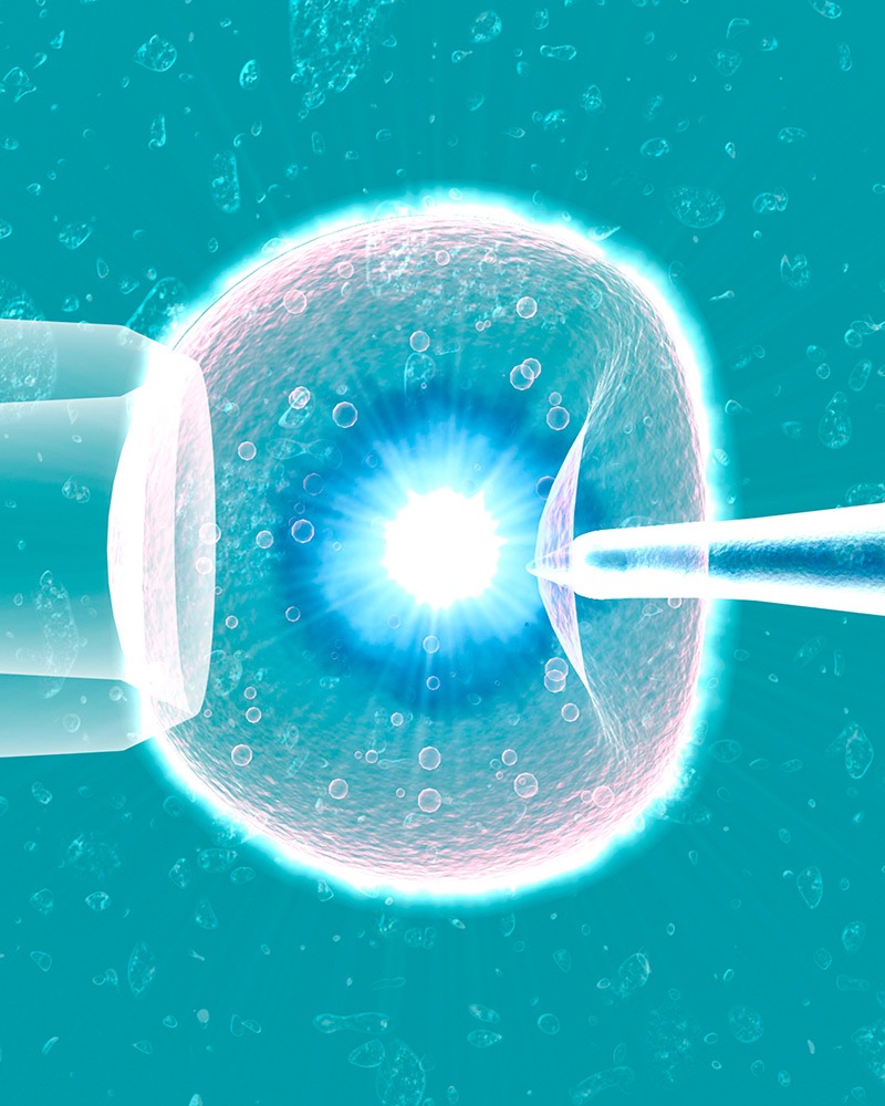 Laser Assisted Hatching Process In IVF Treatment Services