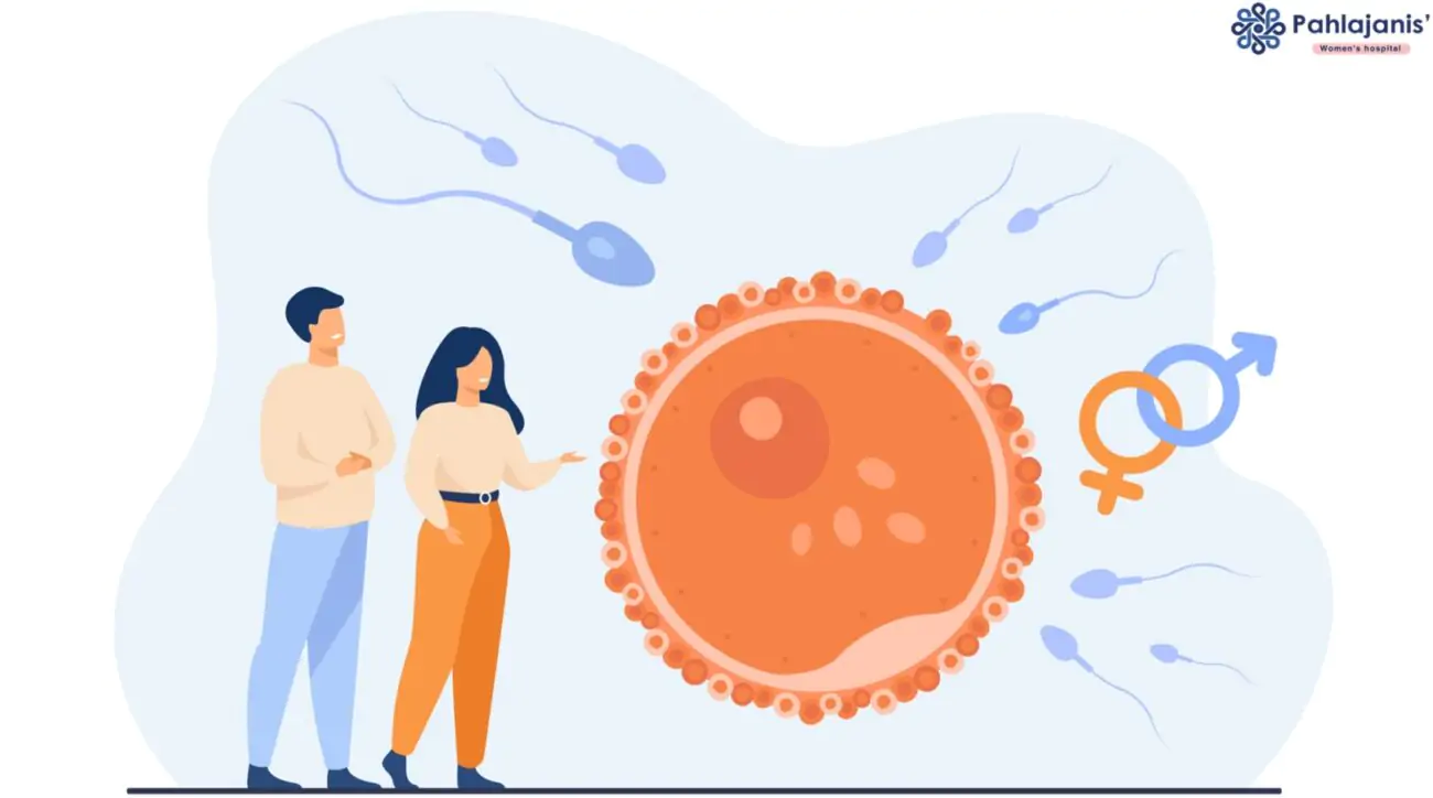 Male Fertility and IVF