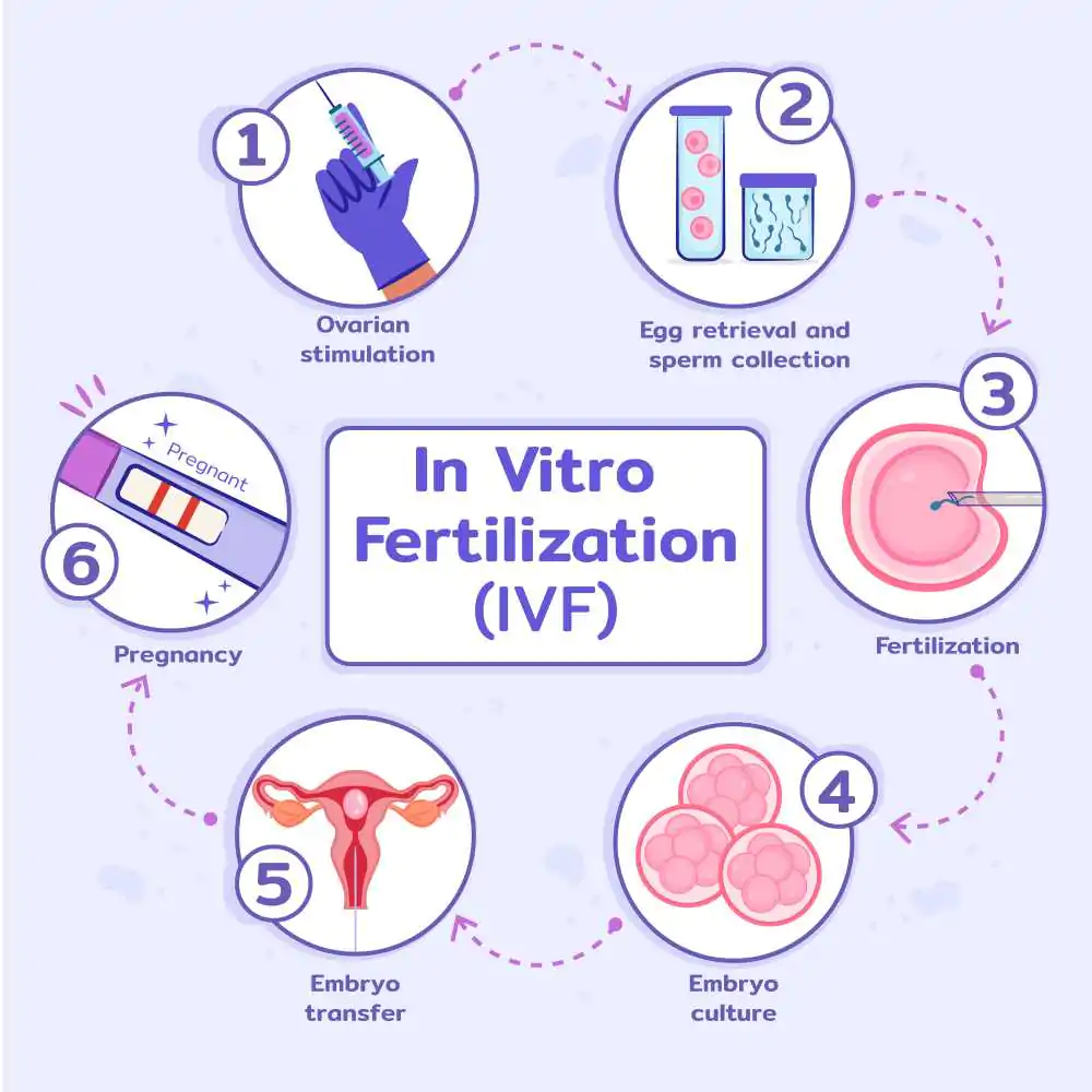 Best IVF Center In Raipur | Pahlajanis IVF Process - IVF Center in Bhilai