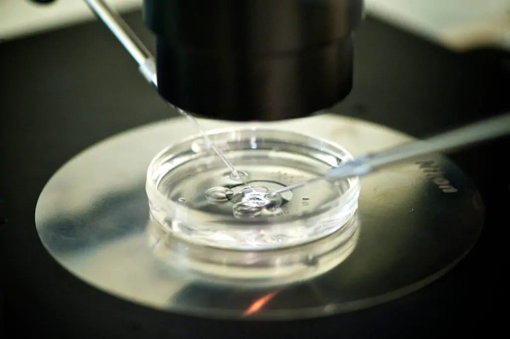 Book Your Appointment : IVF Center in Bhilai | Pahlajanis IVF Center in Bhilai - Lab Test