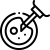 ovum ovum